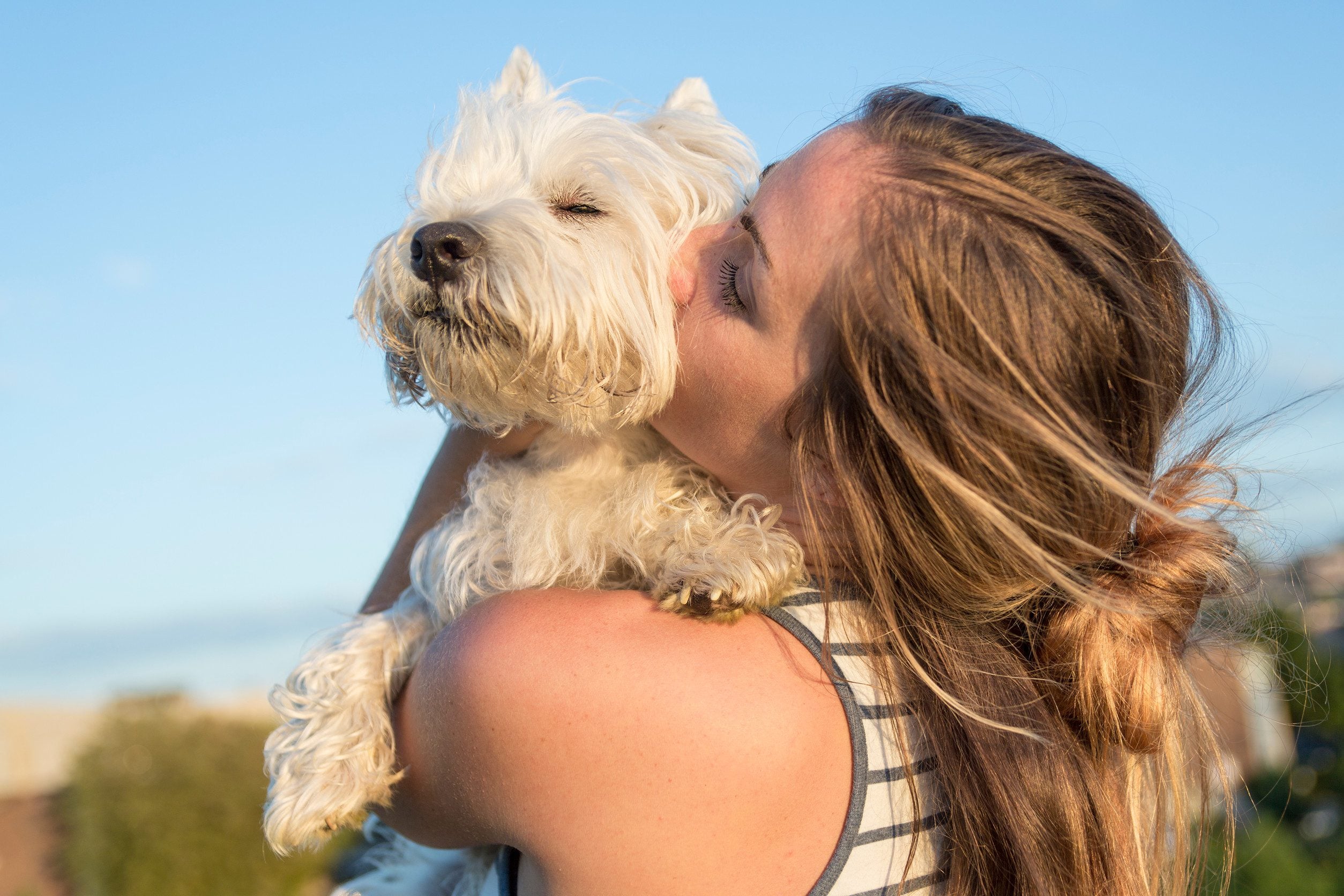 A happy owner hugging their emotional support animal after learning ESA laws in South Carolina.
