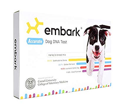 Best Dog DNA Tests