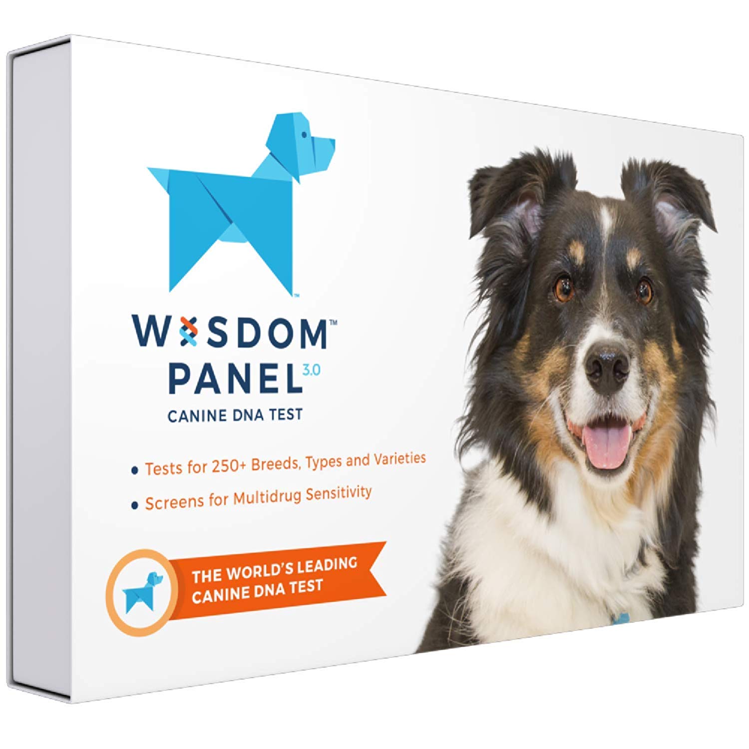 Best Dog DNA Tests