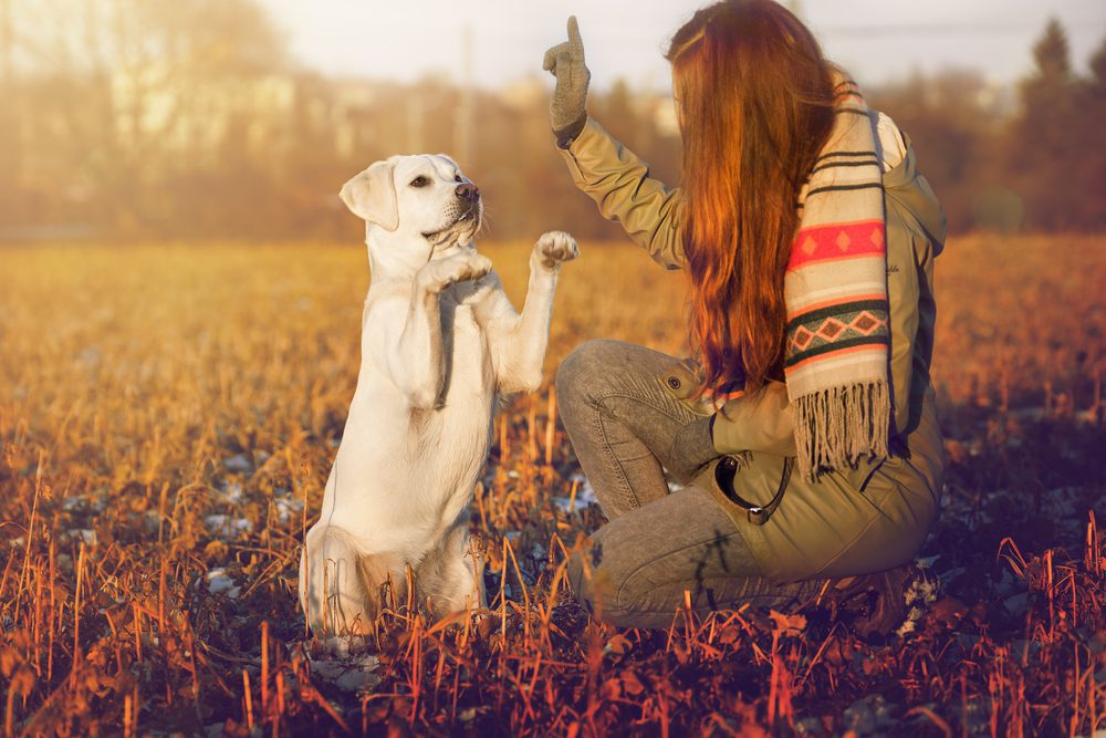 lab performs sit for woman