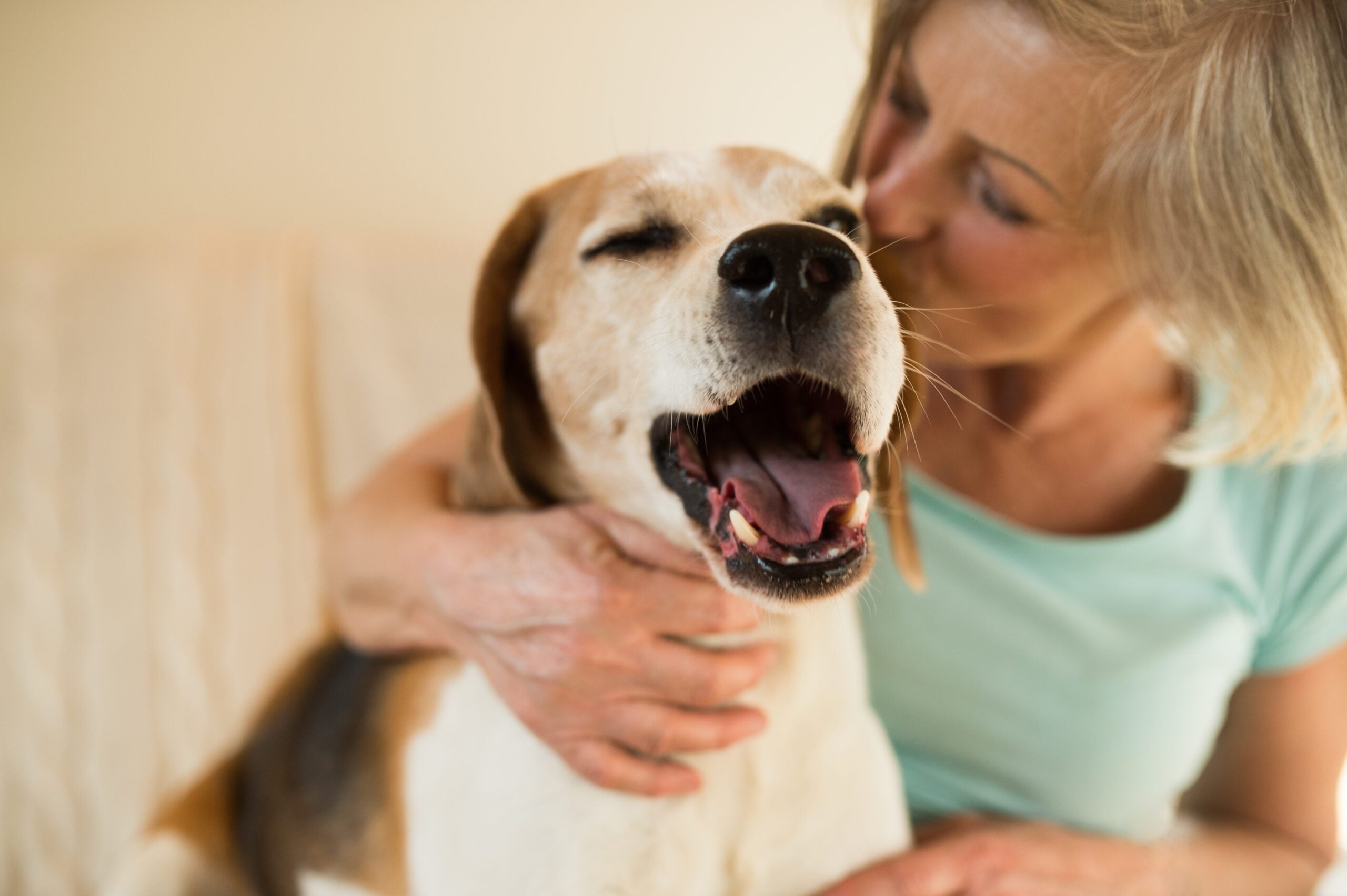 Woman holding her emotional support animal in Montana home.