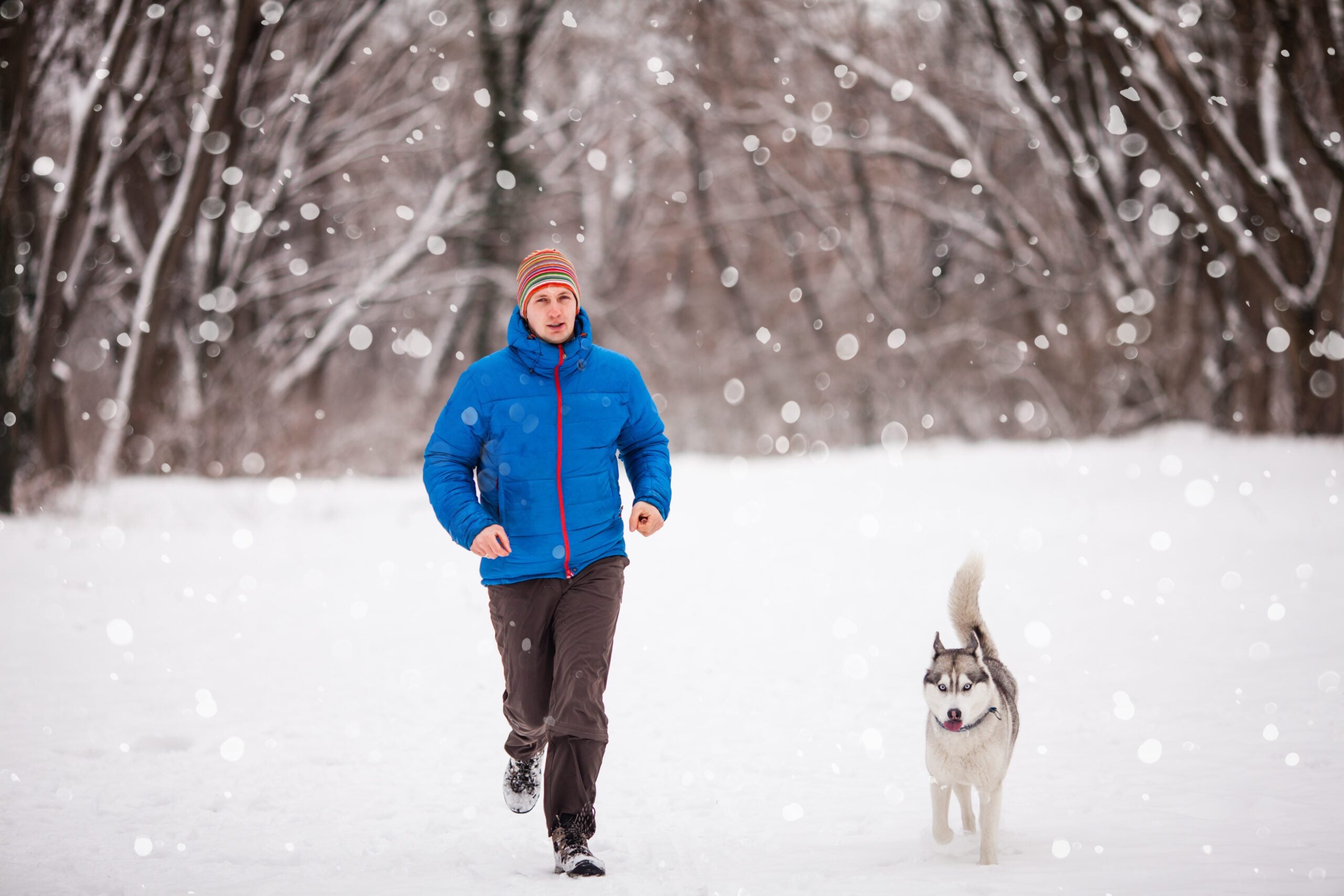 Man jogging with his emotional support dog in Maine.