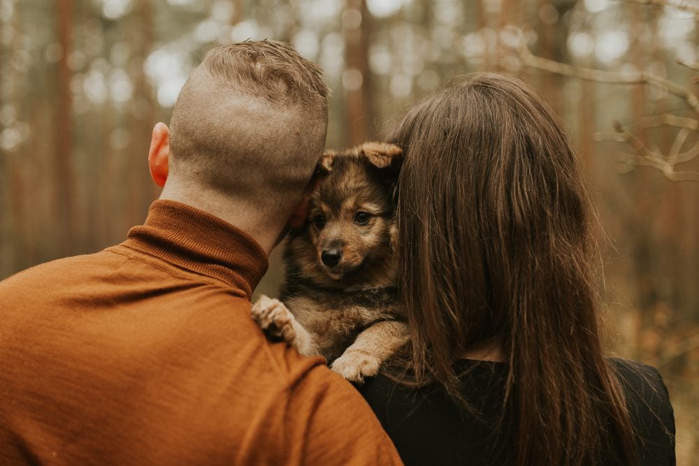 puppy being held between its owners