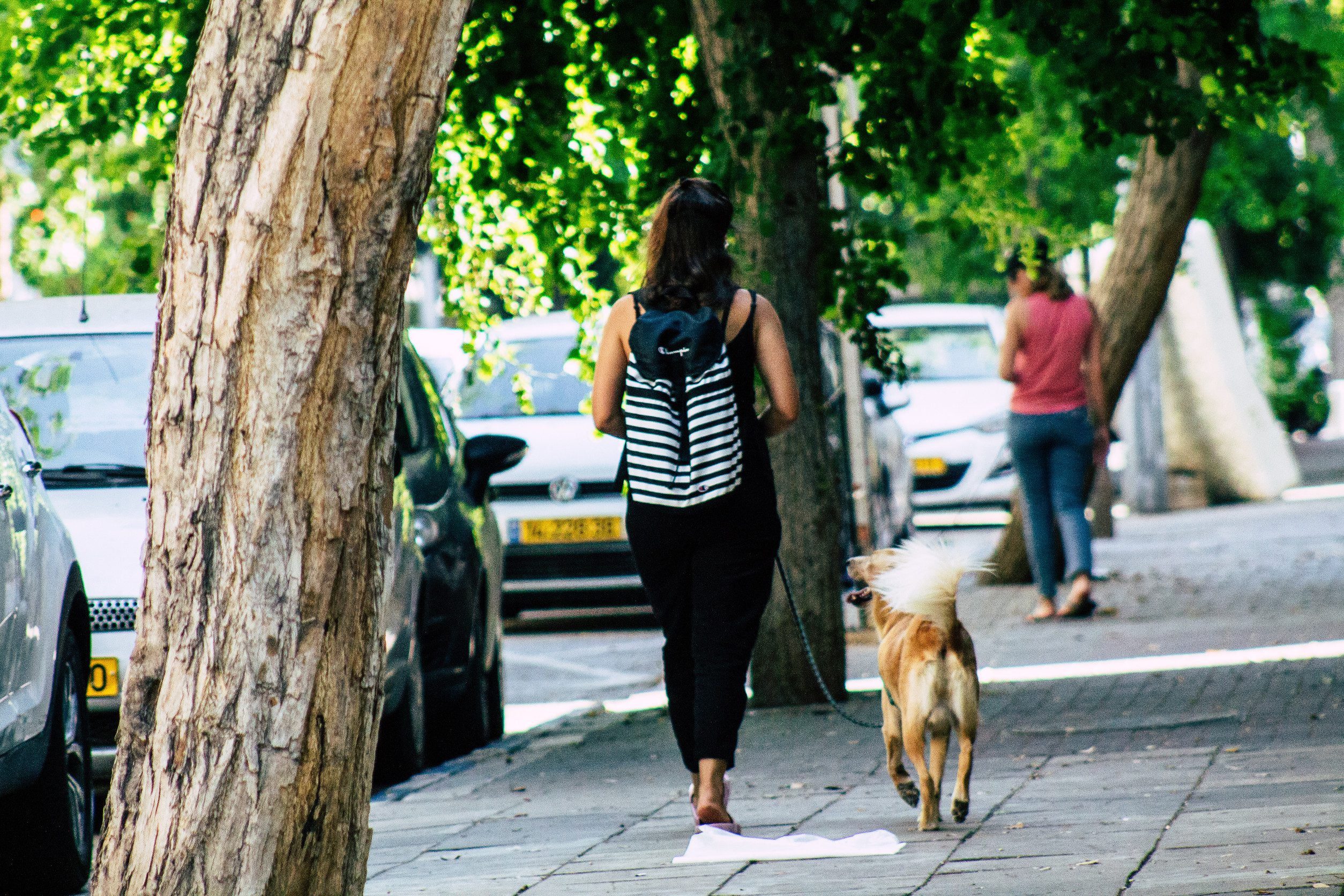 A woman walking her dog on the city sidewalk after getting an ESA letter in San Jose.