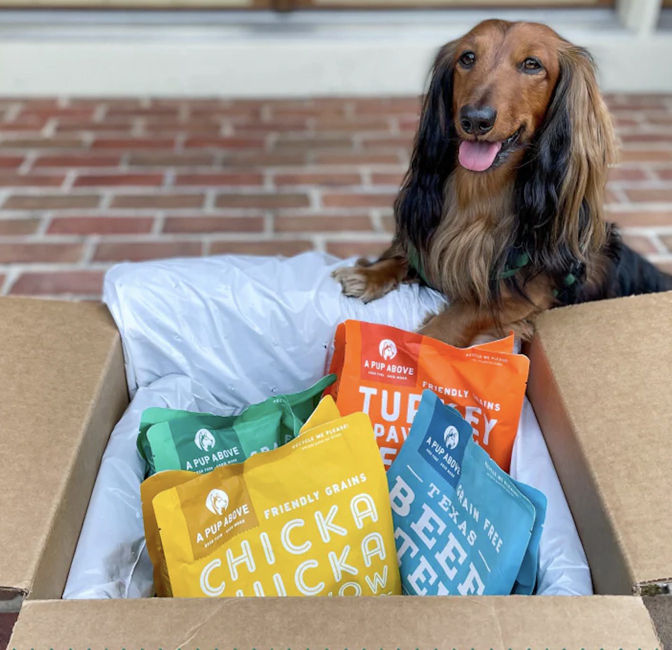dog by box of a pup above pet food