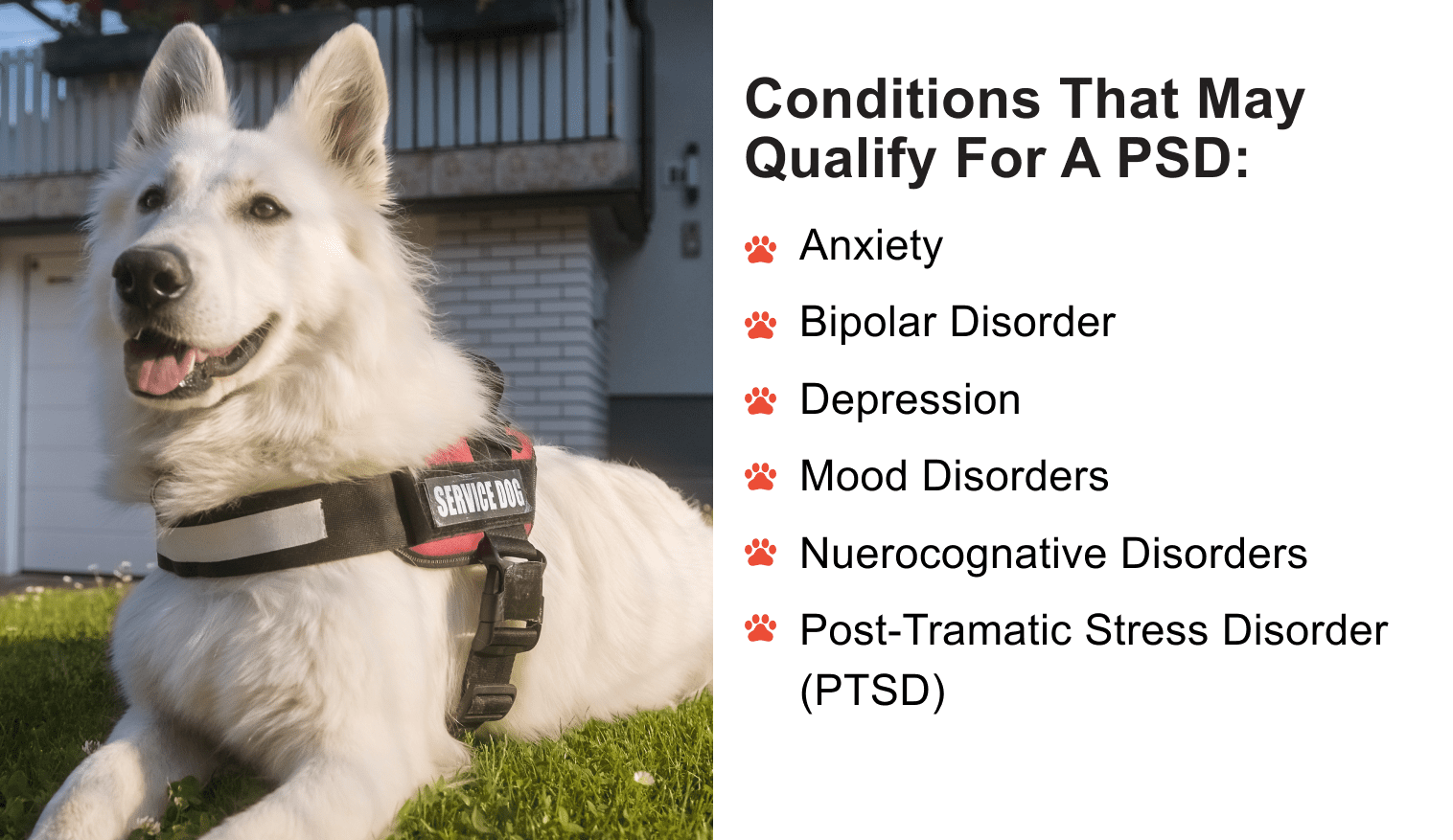 Conditions that may qualify for A PSD