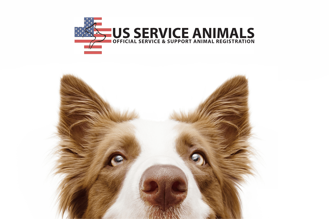 US Service Animals Dog with Logo