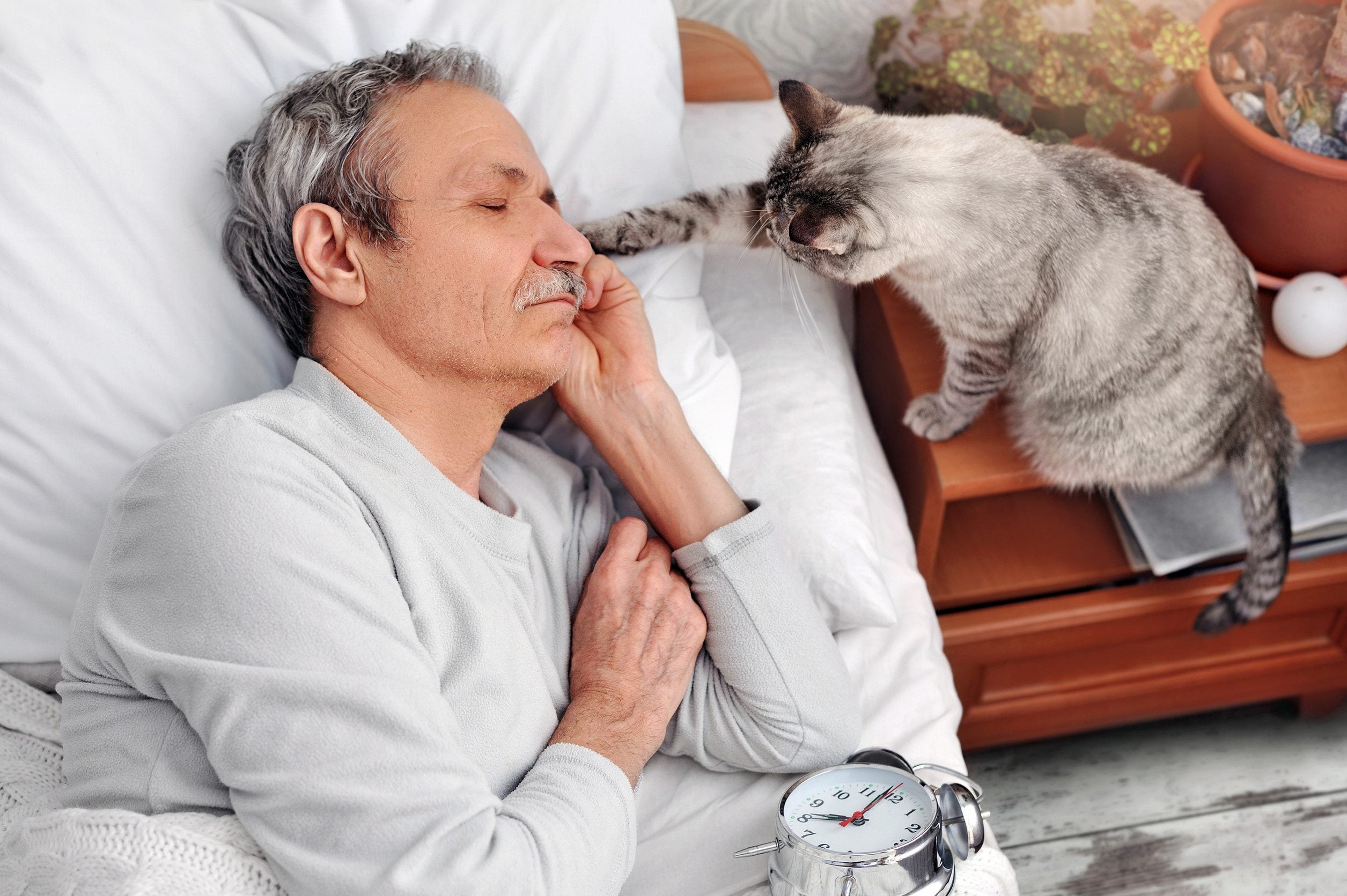 An elderly man sleeping peacefully while his emotional support animal gently touches his face in Missoula, MT.