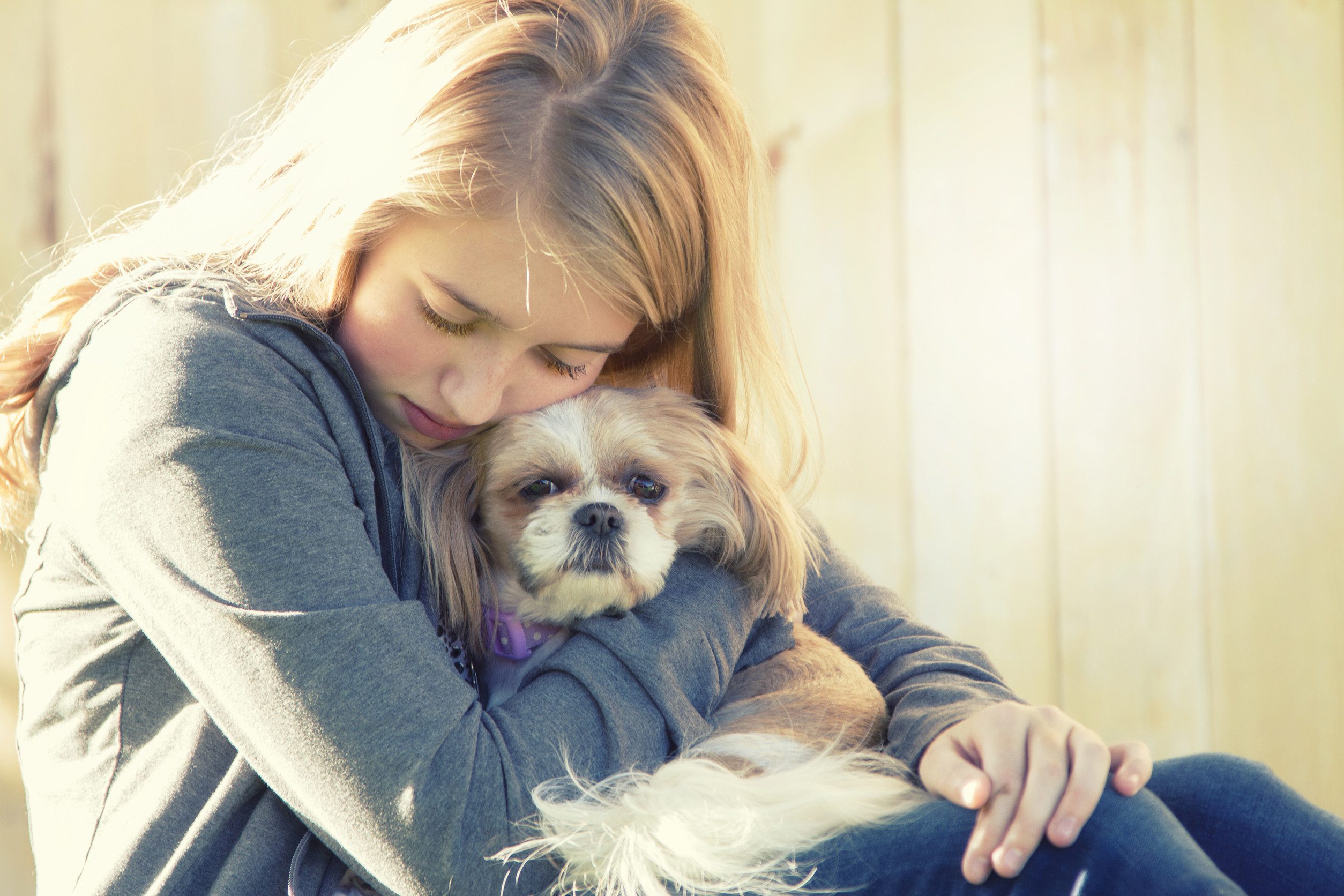 A distressed woman hugging her emotional support animal in New Haven, CT.