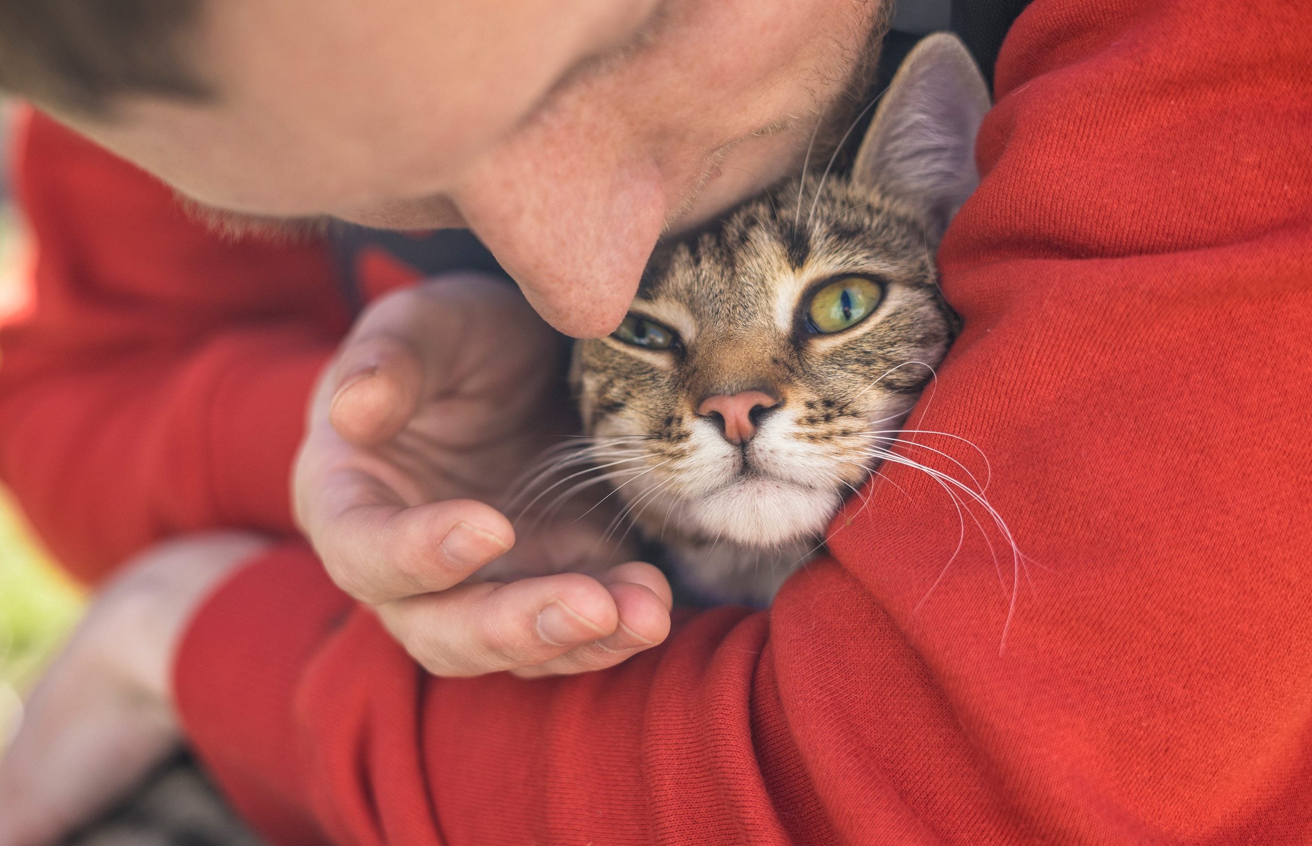 A man in a red jacket kissing his emotional support animal in Hilo, HI.