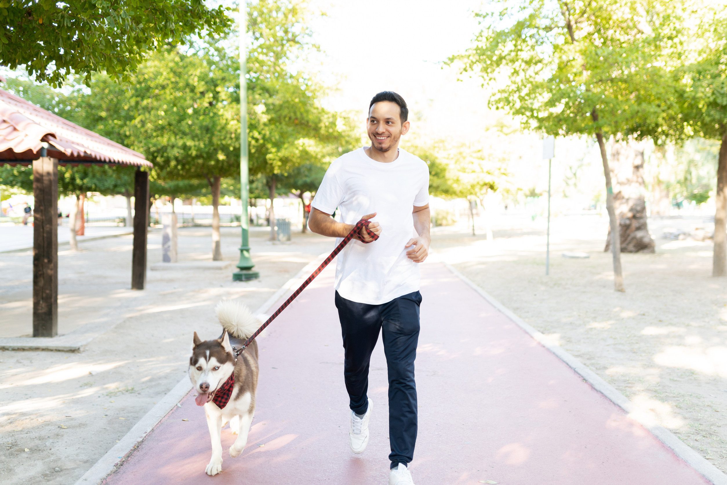 A happy owner walking their husky that has an ESA letter in Chattanooga, Tennessee.