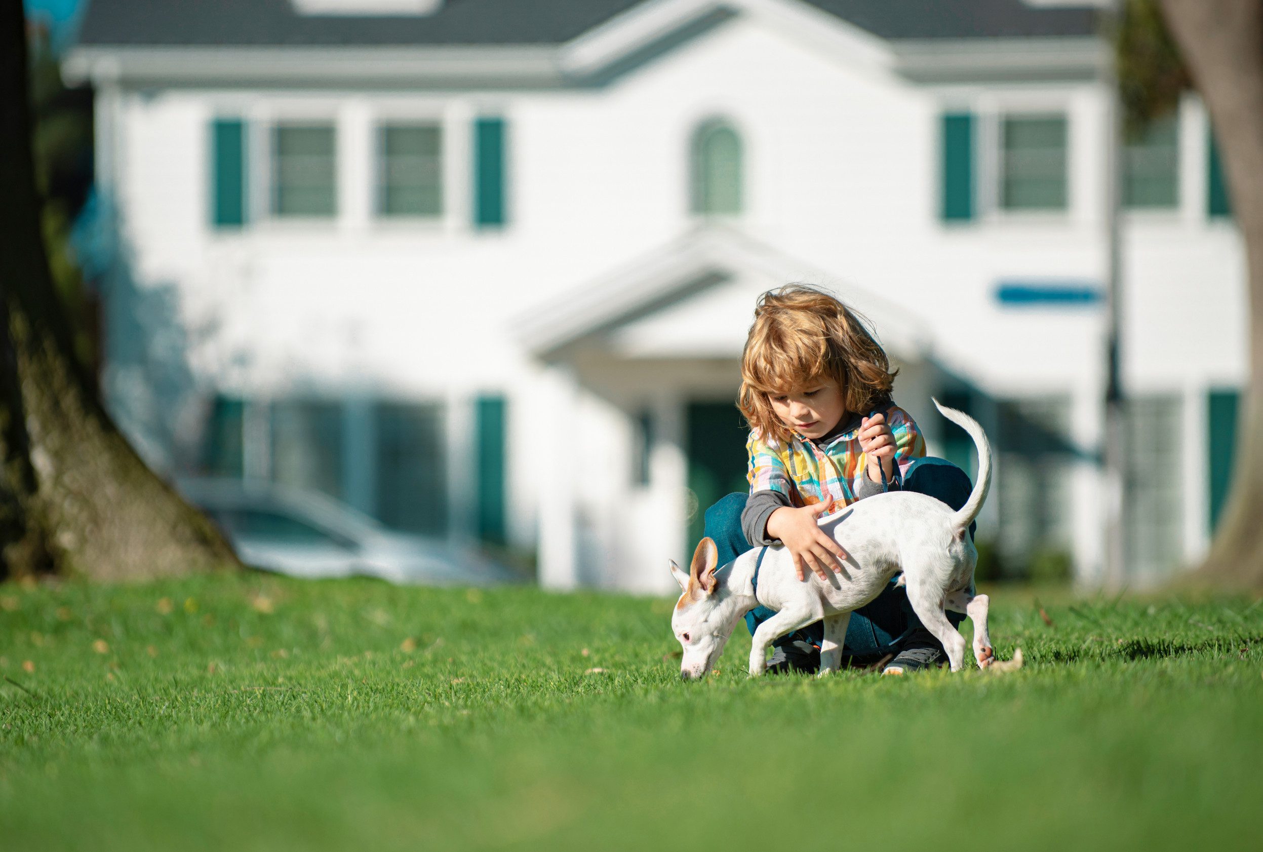 A child sitting outside with an emotional support animal after learning how to get an ESA letter in Pennsylvania.