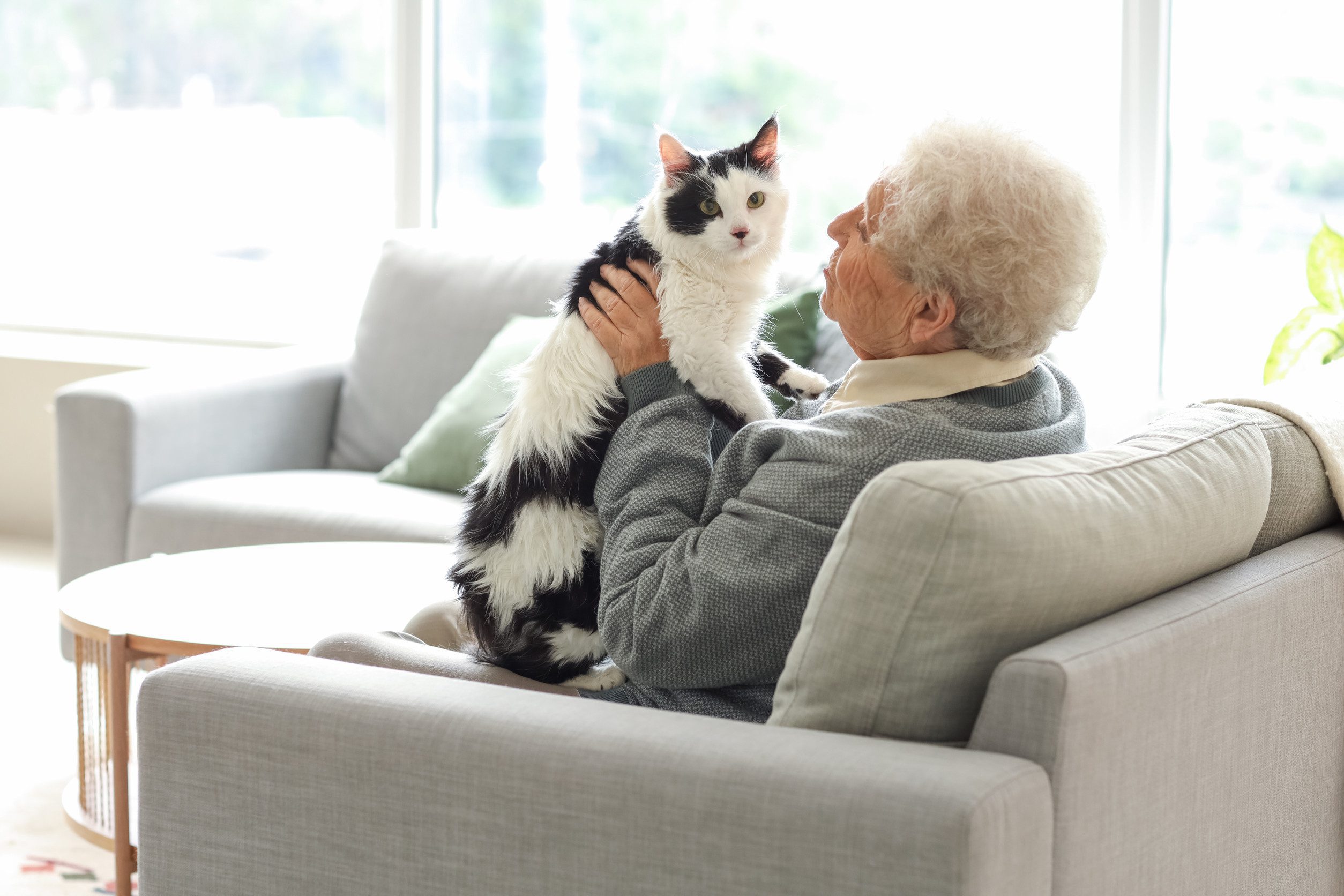 An older woman playing with her emotional support animal in Green Bay, WI.