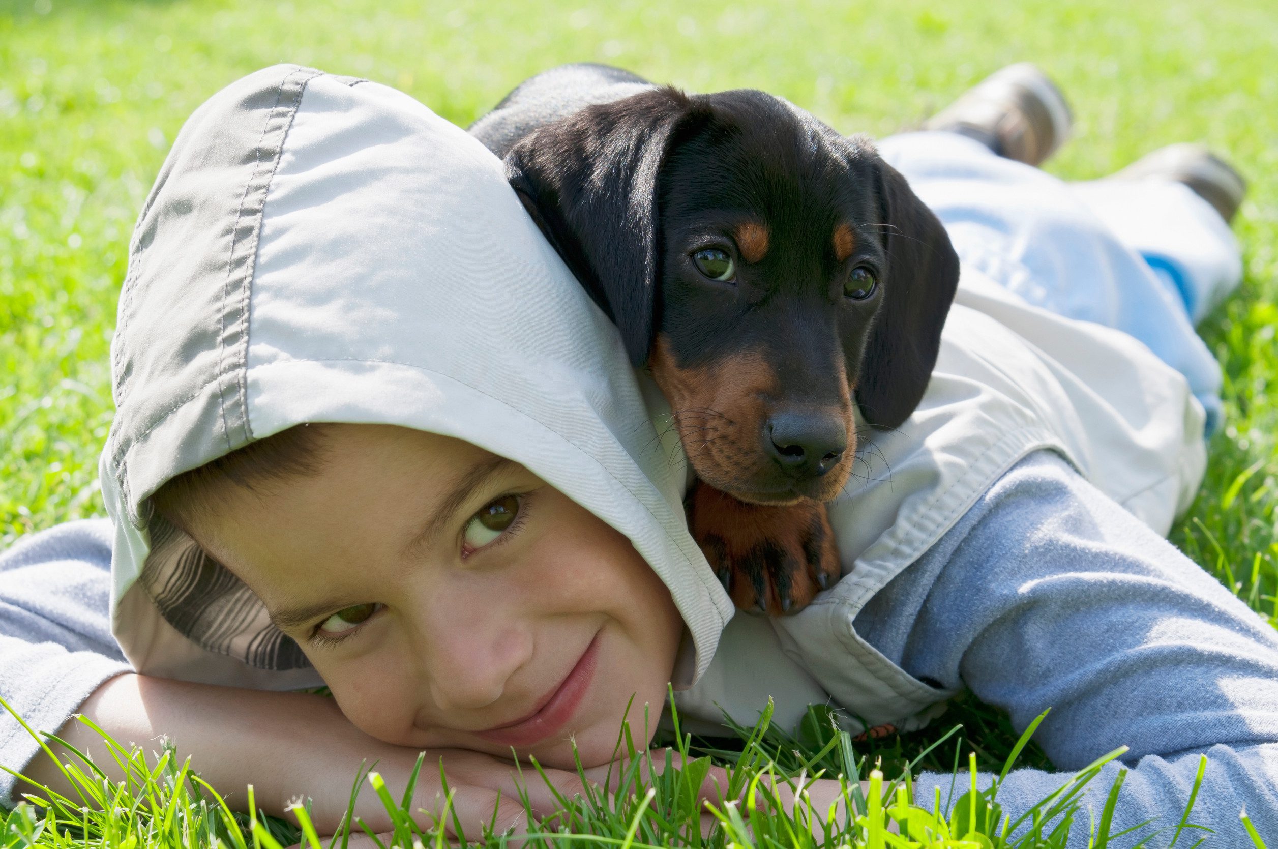 A dachshund and a kid playing while their parents are learning how to get an ESA letter in Bismarck.