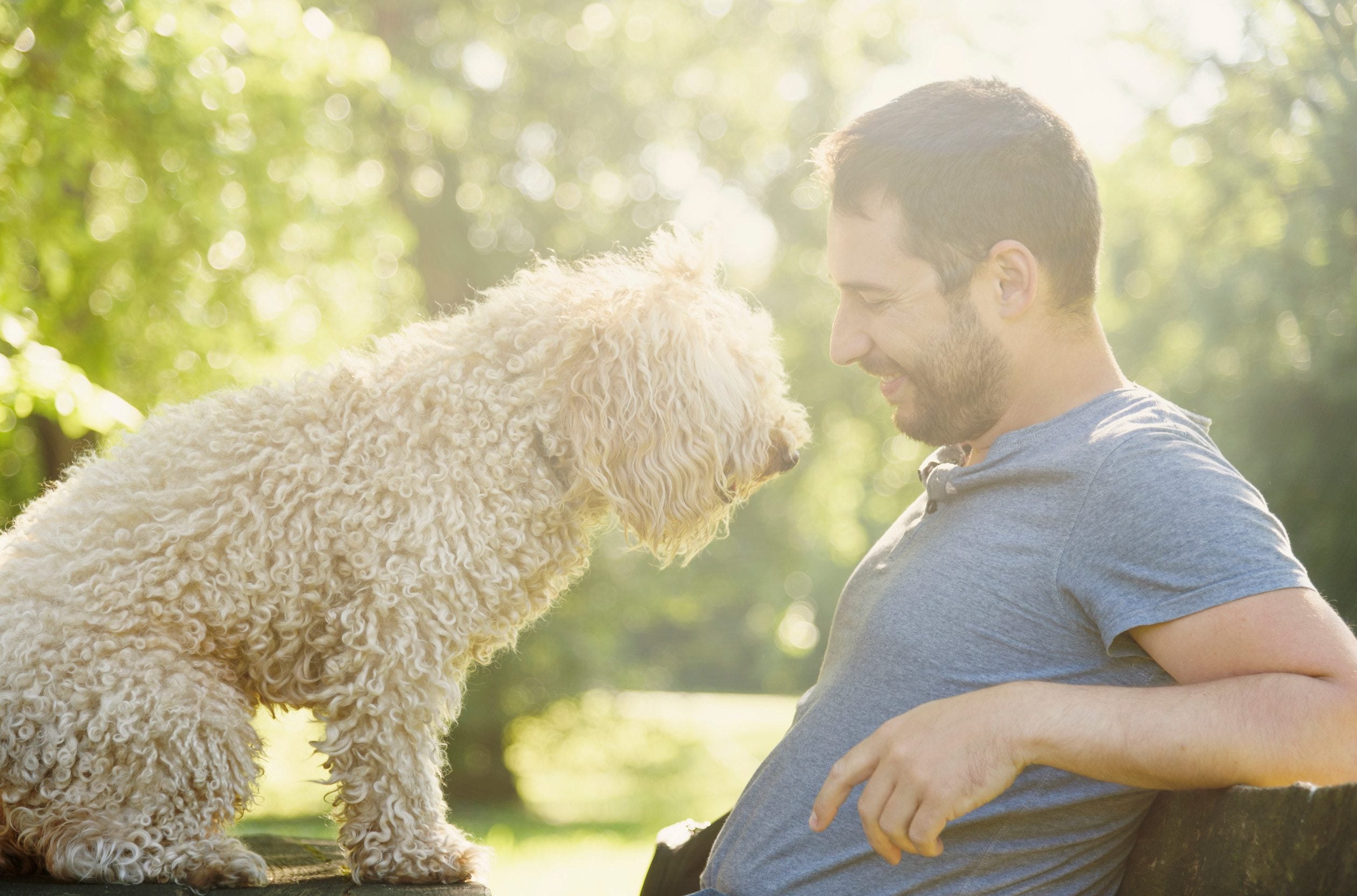 A man sitting with his emotional support animal in a park in Green Bay, WI.