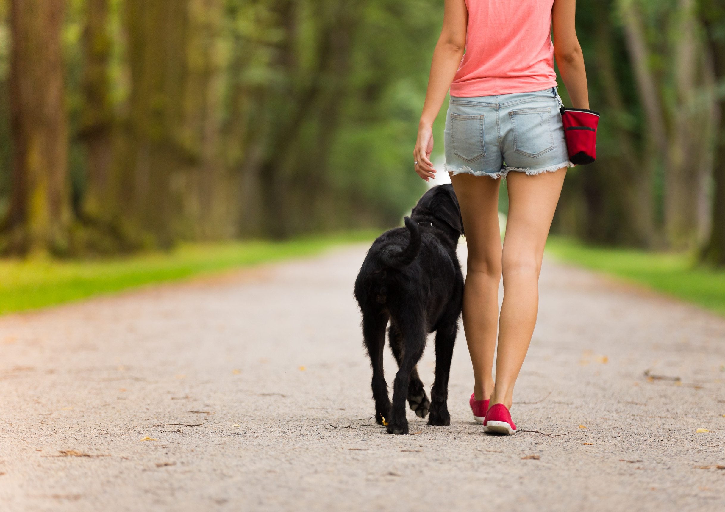 A dog owner with an ESA letter walking their dog in Sioux Falls.