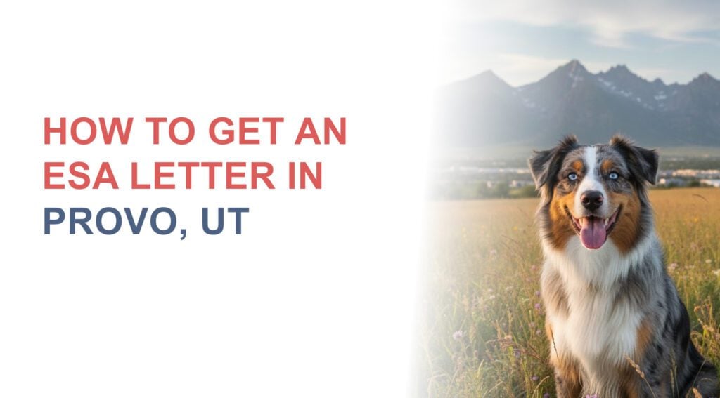australian shepherd outside in utah with banners saying 'how to get an esa letter in provo, ut"
